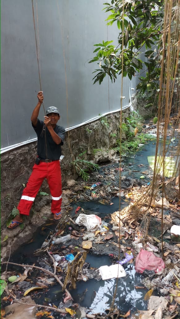 PERUM KAVLING ( OKTOBER 2018 )